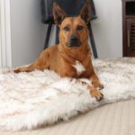 OrthoRug™ Luxury Orthopedic Bett + Ersatzbezug