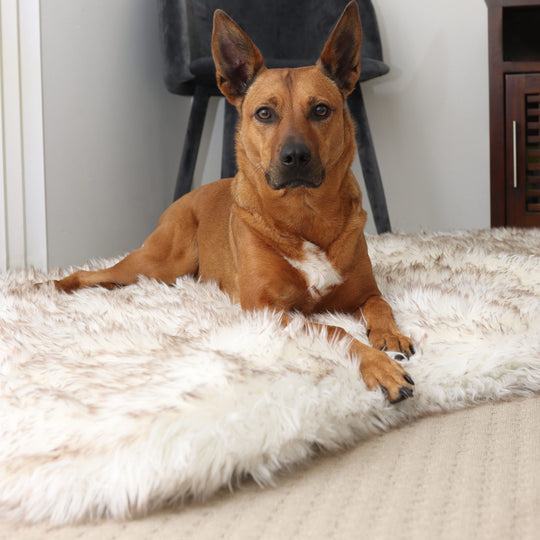 OrthoRug™ Luxury Orthopedic Bett + Ersatzbezug