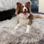 OrthoRug™ Luksusowe łóżko ortopedyczne