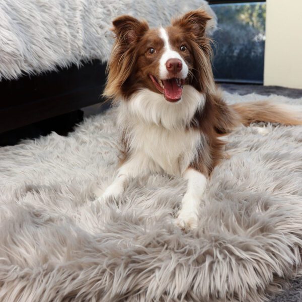 OrthoRug™ Luksusowe łóżko ortopedyczne