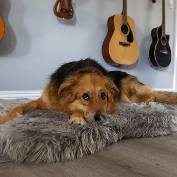 OrthoRug™ Luksusowe łóżko ortopedyczne