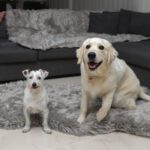 OrthoRug™ Luksusowe łóżko ortopedyczne