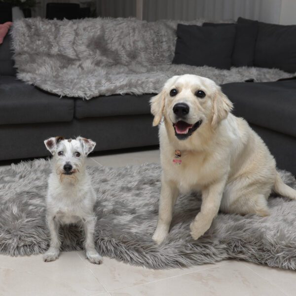 OrthoRug™ Luksusowe łóżko ortopedyczne