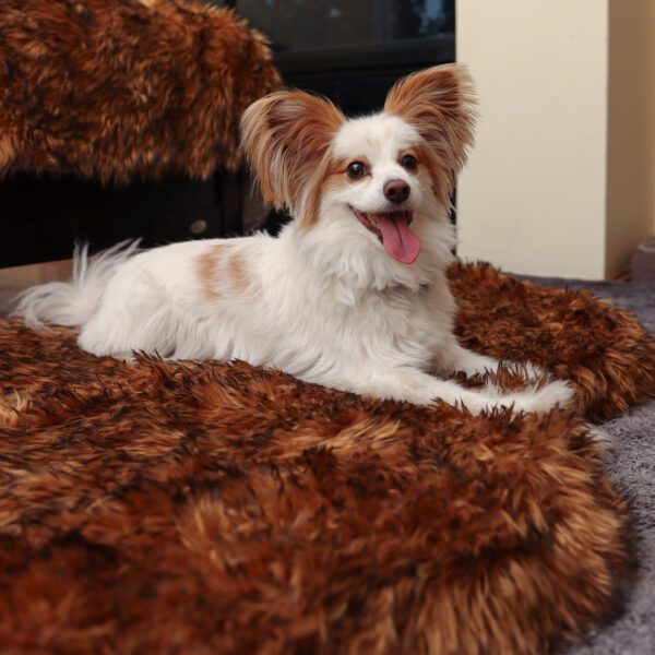 OrthoRug™ Luksusowe łóżko ortopedyczne