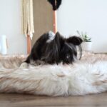 OrthoRug™ Luksusowe łóżko ortopedyczne