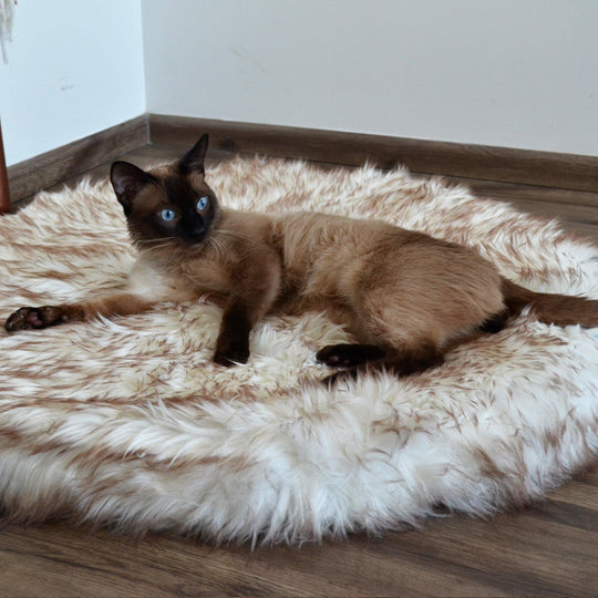 OrthoRug™ Luksusowe łóżko ortopedyczne dla kota