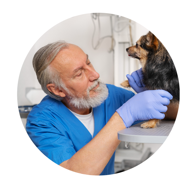 Zrzut ekranu 2024-11-12 o 11.16.10